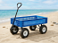 Large Beach Wagon